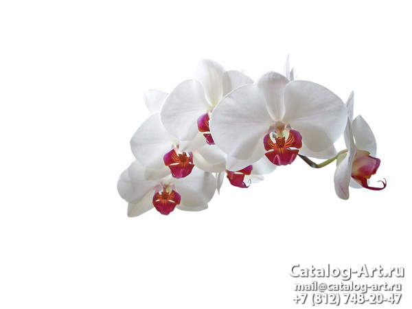 Натяжные потолки с фотопечатью - Белые орхидеи 30